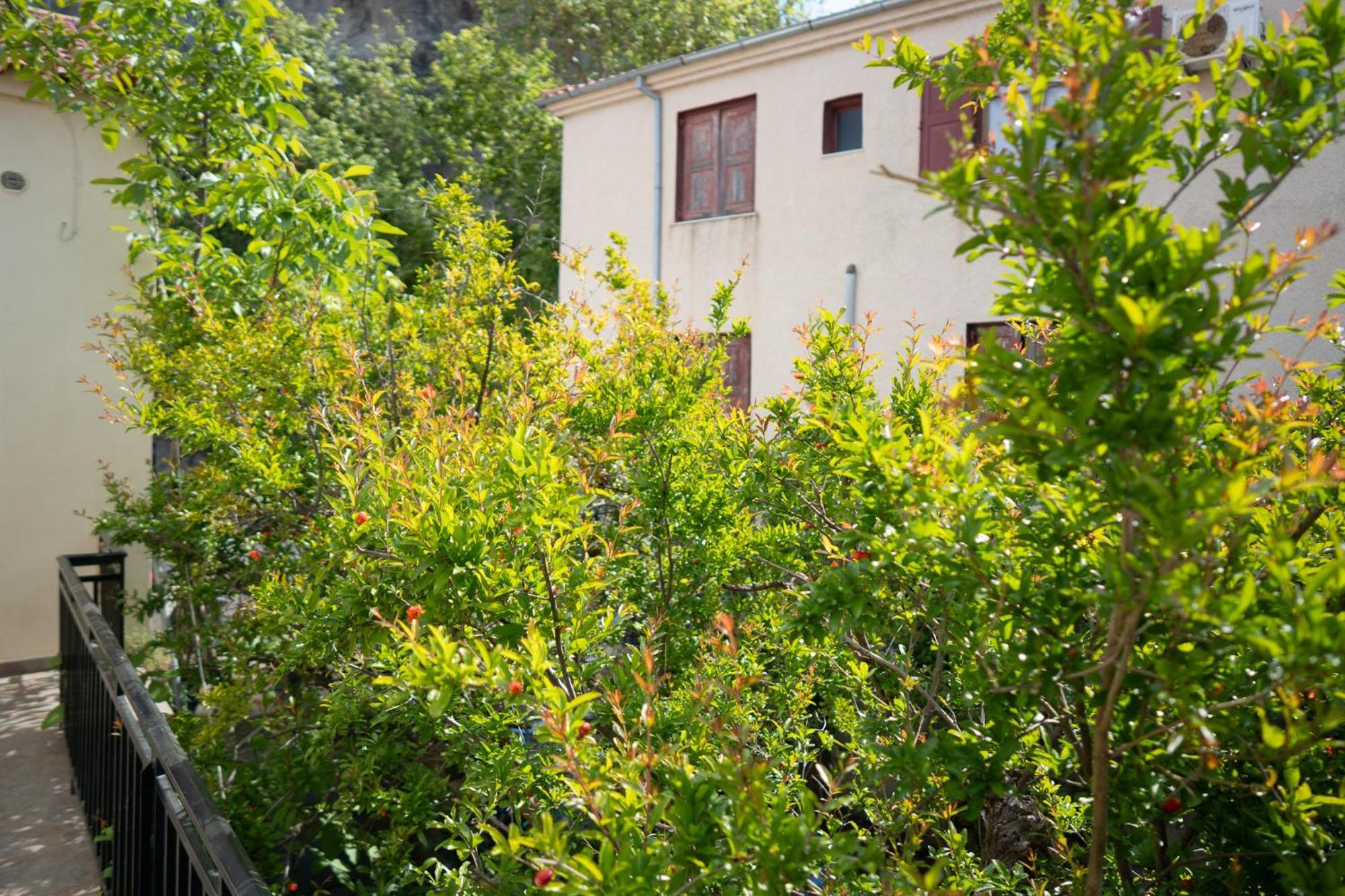 Jasmine House By Panagia Of Petra Apartment Exterior photo
